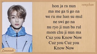 NCT U  Know Now Easy Lyrics [upl. by Hersh445]