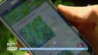 PlantNet  une application pour identifier la flore [upl. by Nonarb]