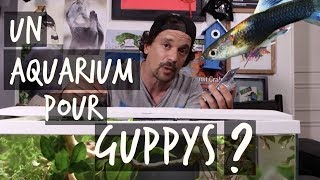 UN AQUARIUM POUR GUPPYS   TUTO TOOPET [upl. by Arabela]