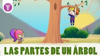 ¿Qué conforma a un árbol  Smartkids [upl. by Eatnoid]