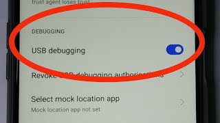 Realme 6 How to Enable USB Debugging [upl. by Kirstin]