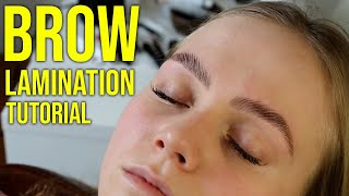 HD Brow Lamination Step By Step Tutorial Big Brows [upl. by Koal]