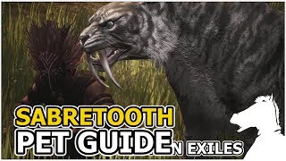 SABRETOOTH  Pets Guide  CONAN EXILES [upl. by Helve]