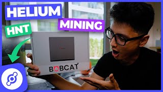 Helium Mining HNT Bobcat Miner 300 Unboxing amp How to Setup [upl. by Adnowal]