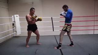 Chinese Kung Fu  Sanshou Punch And Kick Combinations  Shifu Yan Lei [upl. by Ynettirb]