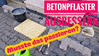 Betonpflaster ausbessern leicht gemacht [upl. by Anait907]