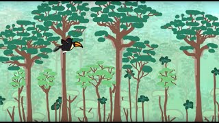 Deforestation Animation [upl. by Apollo]