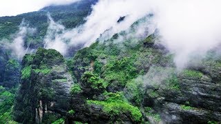 Tamhini Ghat Pune Maharashtra [upl. by Delwyn]