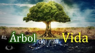 El árbol de la vida Significados y culturas [upl. by Idnar]