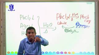 Jaffna Hindu College Education  Chemistry  Qualitative Analysis Part I [upl. by Eked]