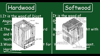 Hardwood vs Softwood Quick Difference and Comparisons [upl. by Boehike]