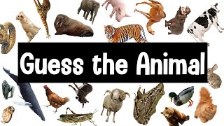 Guess the Animal Sound Game  30 Animal Sounds Quiz  Wildlife Trivia [upl. by Valentijn]