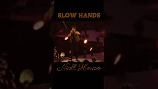 Niall Horan  Slow Hands [upl. by Barnes558]