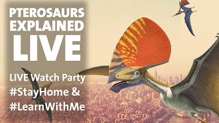 Pterosaurs Explained LIVE StayHome amp LearnWithMe [upl. by Dominica537]