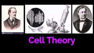 CELL THEORY CELL BIOLOGY  SCHWANN Robert HookeAnton van Leeuwenhoek [upl. by Garnett]