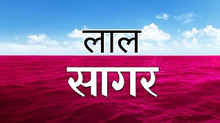 लाल सागर के रहस्य और जानकारी Lal Sagar Ki Jankari  Red Sea Documentary in Hindi [upl. by Esilrahc644]