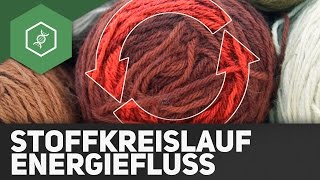 Stoffkreisläufe und Energiefluss  Ökologie [upl. by Euhc]