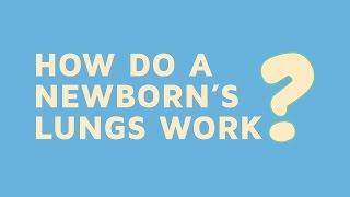 How Do A Newborns Lungs Work [upl. by Lamond690]