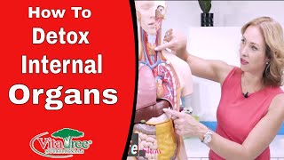 Detox Cleanse  How to Detox your Internal Organs Naturally  VitaLife Show Episode 266 [upl. by Colville]