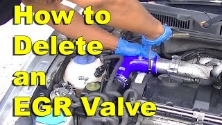 How to Install a EGR Valve Delete Kit [upl. by Aihsenod985]