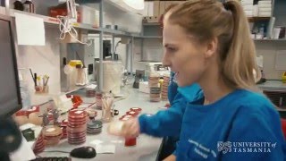 What does a microbiologist do  University of Tasmania [upl. by Ackerman]