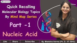 eLearnam Mind Map Series  Molecular Biology  Part 1  Nucleic Acid  Quick Recalling [upl. by Nigel927]