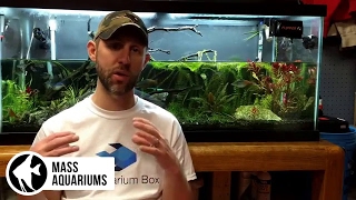 How to REMOVE NITRATES from your Aquarium 3 steps to Balance Nitrate levels in your Aquarium [upl. by Nomis612]