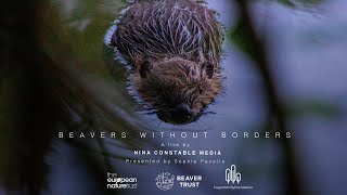 Beavers Without Borders a short documentary [upl. by Watanabe]