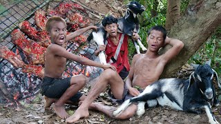 Primitive Technology  Kmeng Prey  Steal The Goat Cooking Eating [upl. by Hsilgne556]