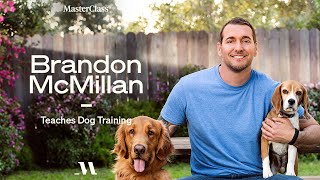 Brandon McMillan Teaches Dog Training  Official Trailer  MasterClass [upl. by Merrilee]