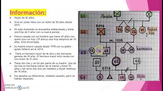 ELABORACIÓN DE UN GENOGRAMA [upl. by Nailij]