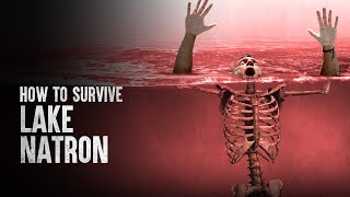 How to Survive Lake Natron [upl. by Shakti115]