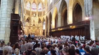 Peuple de prêtres  Cathédrale St Etienne à Toulouse [upl. by Ilysa282]