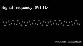 20Hz to 20kHz Human Audio Spectrum [upl. by Yvan620]