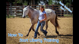 How To Start Liberty Training With Your Horse Basic Exercises Part 1 [upl. by Scrivens104]