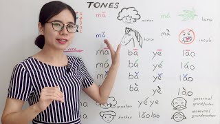 The Tones in Mandarin Chinese  Beginner Lesson 2  HSK 1 [upl. by Clardy675]