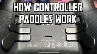 How Controller Paddles Work and Why Theyre Worth it [upl. by Yeuh681]