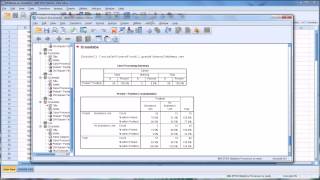 Performing the McNemar Test in SPSS [upl. by Dag]