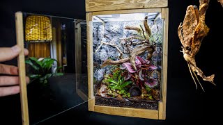 Bioactive Ghost Mantis Vivarium w Realistic DIY Background pt2 [upl. by Raff424]