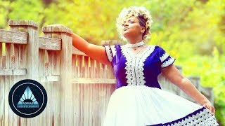 Dina Anteneh  Honelign Official Video  Ethiopian Music [upl. by Ynnot425]