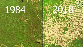 Deforestation Amazon Google Earth Timelapse [upl. by Lecroy]