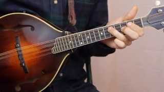 Irish Washerwoman With Tabs  Mandolin Lesson [upl. by Pepe332]