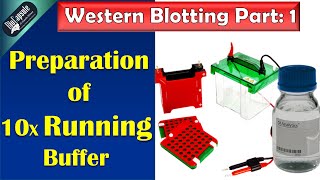 Western Blotting Part 1 10 X running buffer preparation [upl. by Toole]