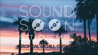 MUSICA DA APERITIVO RELAX 2020 TROPICAL HOUSE 🌴 Dua Lipa Martin Garrix Kygo Sia Style 🌴 Chill Out [upl. by Gabbert147]