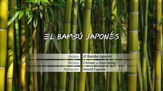 El Bambú japonés [upl. by Olga]