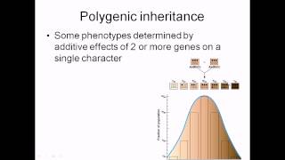 Polygenic inheritance [upl. by Pisano]