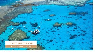 Snorkeling The Great Barrier Reef  Lady Musgrave Island snorkeling amp Scuba Diving experience 🧜‍♀️ [upl. by Ansaev]