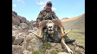 Hunting Altay argali and ibex in Mongolia July 2019 [upl. by Keil]