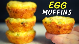 COTTAGE CHEESE AND EGG MUFFINS An easy way to add protein to your breakfast [upl. by Tomkins]