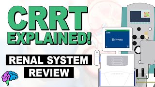 Renal System  Overview [upl. by Viscardi]